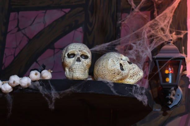 istock Still life of two skulls on a shelf with a bundle of garlic 1176385545
