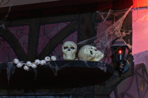 istock Still life of two skulls on a shelf with a bundle of garlic 1176385551