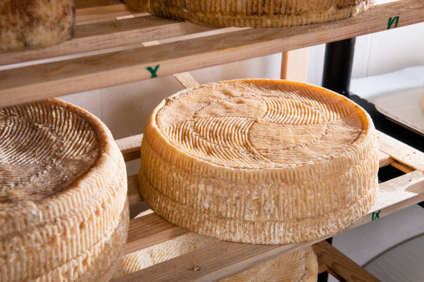 istock Forms of cheese on the shelf for maturing 1176385771