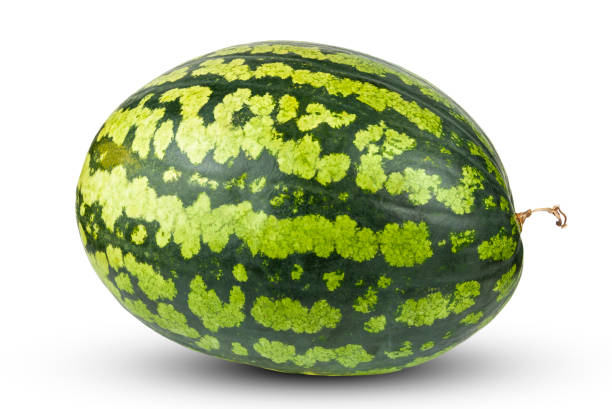 istock Ripe, large watermelon close-up on a white background 1176385940