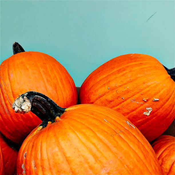 istock Pumpkins with Blue Wall - Vintage  Style 1176386040