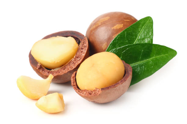 istock Macadamia nut with pieces and green leaves isolated on a white background 1176393787