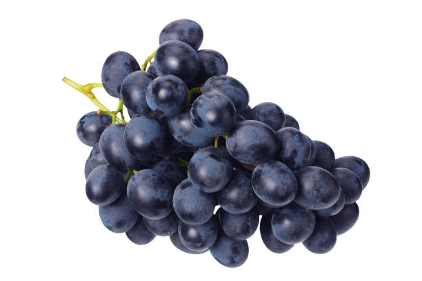 istock blue grape isolated on a white. Food 1176393798