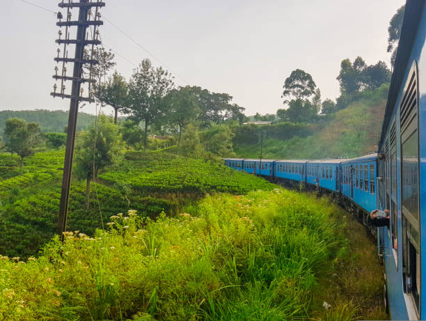 istock A journey in train in Sri Lanka through tea plantations between Ella, Nuwara Eliya and Kandy 1176395113