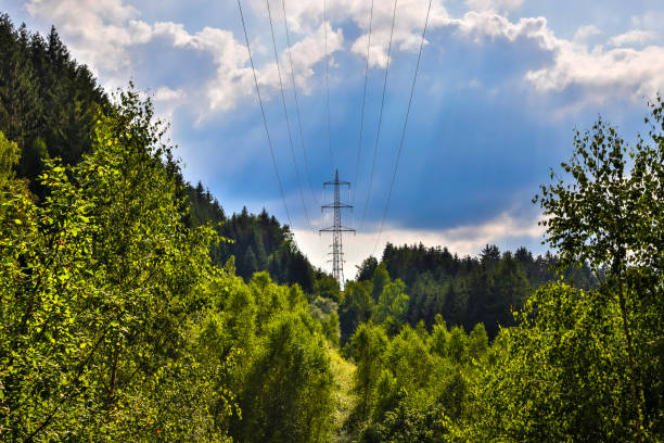 High voltage power lines in the forest