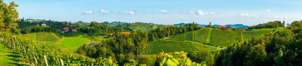 istock Vineyards in southern Styria, Austria 1176396010