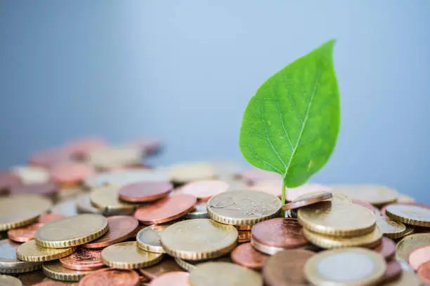 Sustainable investment money concept: Coins tacked on each other, green leaf
