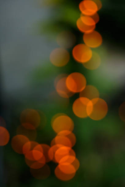 istock Defocused lightsd on the green plants 1176397268