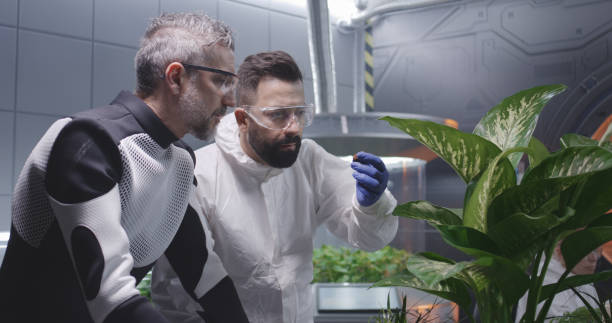 istock Scientists examining soil of Martian garden 1176397569