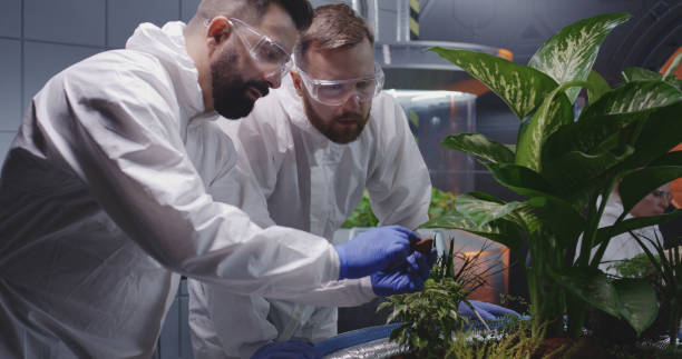 istock Two scientists examining soil of Martian garden 1176397572