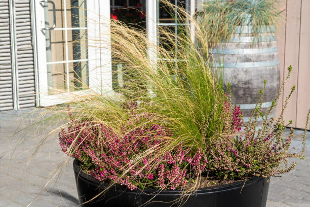 istock Street cafe with floral decoration. 1176397703