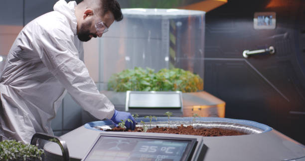 istock Astrobiologists planting seedlings on a Mars base 1176398389