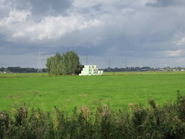 istock landscape with hay bales in the meadow under a cloudy sky 1176398501