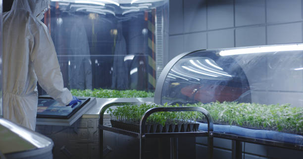 istock Scientist in hazmat suit checking plant incubators 1176398947