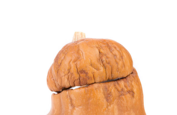 istock Fragment of Old halloween pumpkin. 1176401969