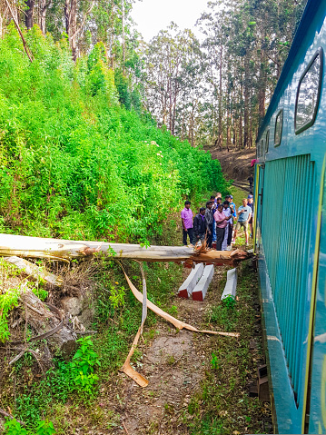 Typical accident in Sri Lanka during a journey in train, a tree trunk felt on the railroad track. Tourists and locals are helping and watching in July 2018