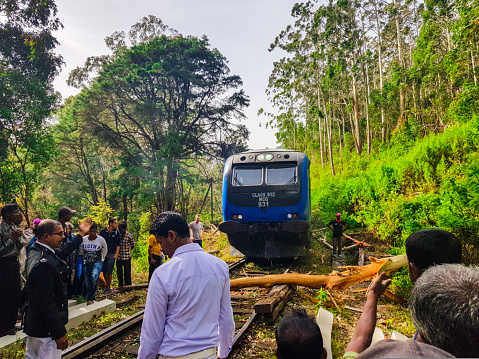 Typical accident in Sri Lanka during a journey in train, a tree trunk felt on the railroad track. Tourists and locals are helping and watching in July 2018