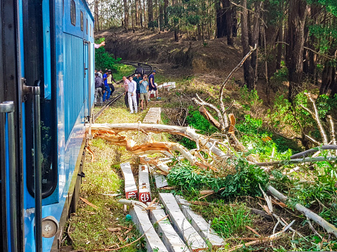 Typical accident in Sri Lanka during a journey in train, a tree trunk felt on the railroad track. Tourists and locals are helping and watching in July 2018