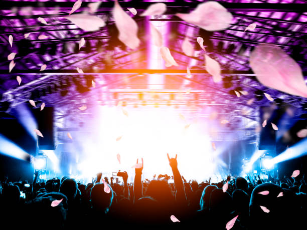 istock Concert crowd in front of a live stage 1176405834