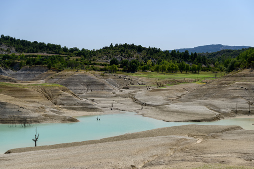 Dead tree in a dry Reservoir in Spain