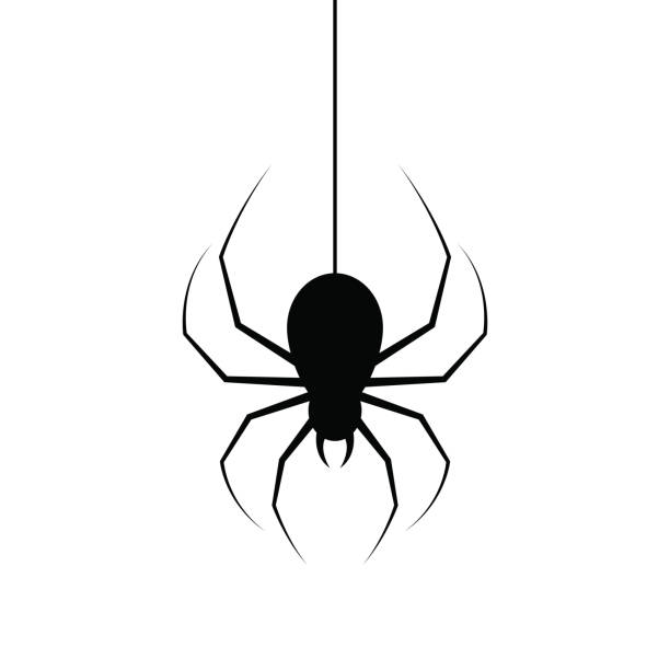 Small Spider Tattoo Stock Photos, Pictures & Royalty-Free Images - iStock