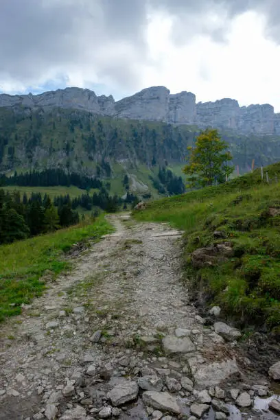 Mountain hiking trail from Innereriz via Sichle to Merligen (Switzerland, Bern, Bernese Oberland)