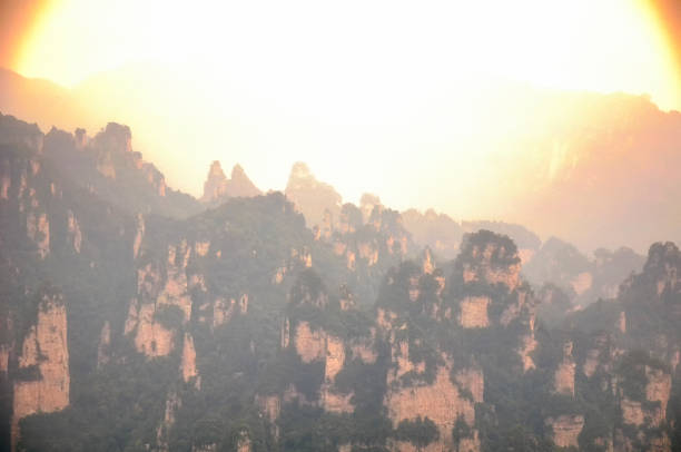 Mist covers the rock pillars and mountains in Zhangjiajie, with sunlight in the valley