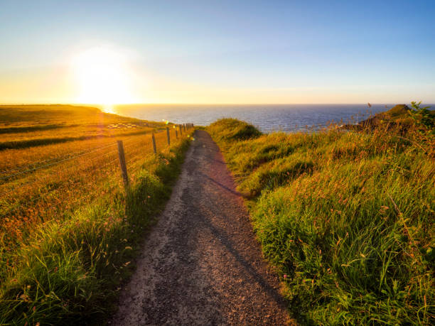 istock summer sunset giants causeway coastline,Northern Ireland 1176410530