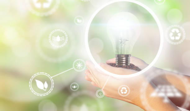 istock Women's hands holding a light bulb for ecology and renewable energies 1176410612
