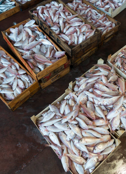 istock Fish Market, Antalya, Turkey 1176410805