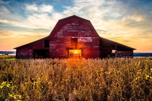 ländlicher sonnenuntergang in der alten roten scheune - mississippi südliche bundesstaaten der usa stock-fotos und bilder