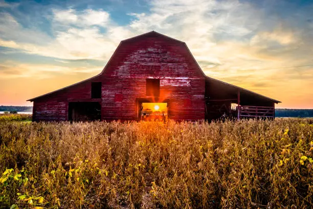 Photo of Rural Sunset At The Old Red Barn