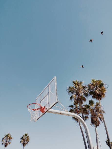 basketballkorb in los angeles - basketball basketball hoop california southern california stock-fotos und bilder