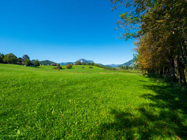 istock Austrian landscape in Styria in late summer 1176419530