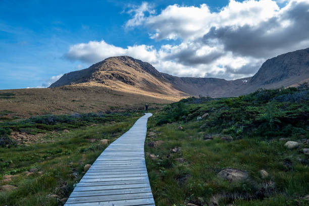 istock Hiking into Tablelands in Gros Morne National Park 1176419731
