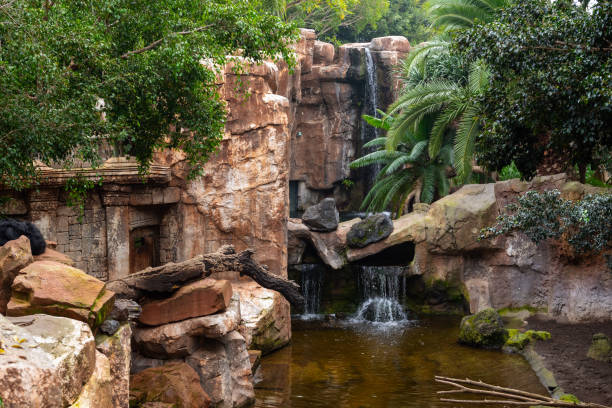 Waterfall in park in Arnhem, Holland