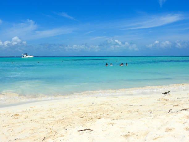 istock Punta Norte beach, Isla Mujeres 1176422503