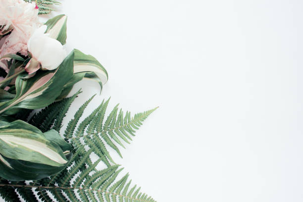 istock Forest flower leaf on white background. Flat lay, top view 1176425250