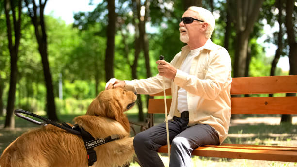 istock Visually impaired elderly male sitting on bench, stroking beloved guide dog 1176426249