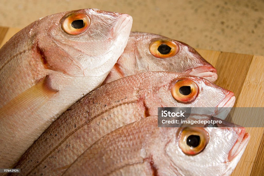 Pesce - Foto stock royalty-free di Labbra di animale