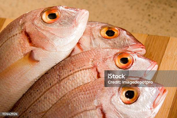 Pesce - Fotografie stock e altre immagini di Labbra di animale - Labbra di animale, Antiossidante, Aspetto naturale