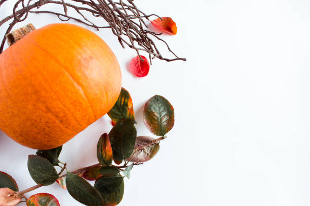 istock Autumn tree leaves and pumpkin on white background. Flat lay 1176430080