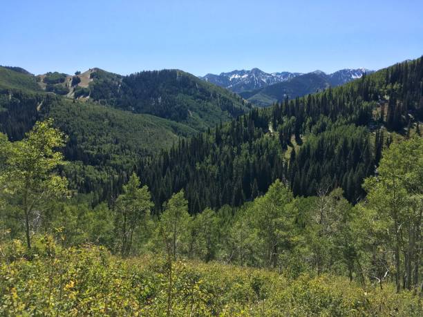 istock Mountains from Little Water Trail 1176438373