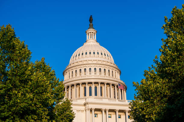 istock US Capitol, Washington DC, USA 1176439625