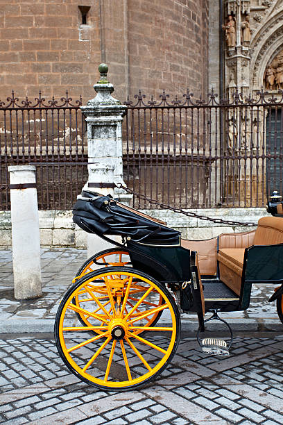 istock Traditional andalusian carriage 117643981
