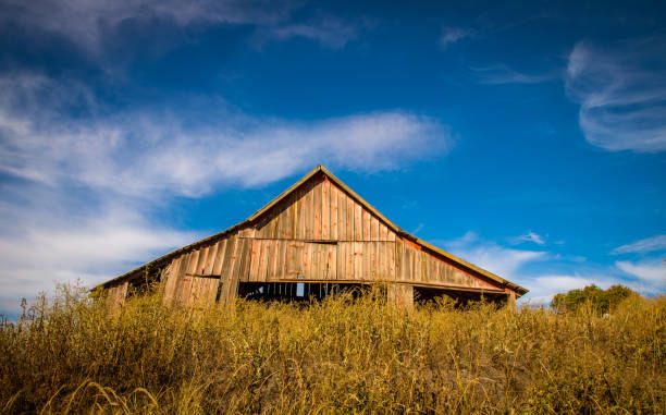 istock Abandon wooden barn 1176441489