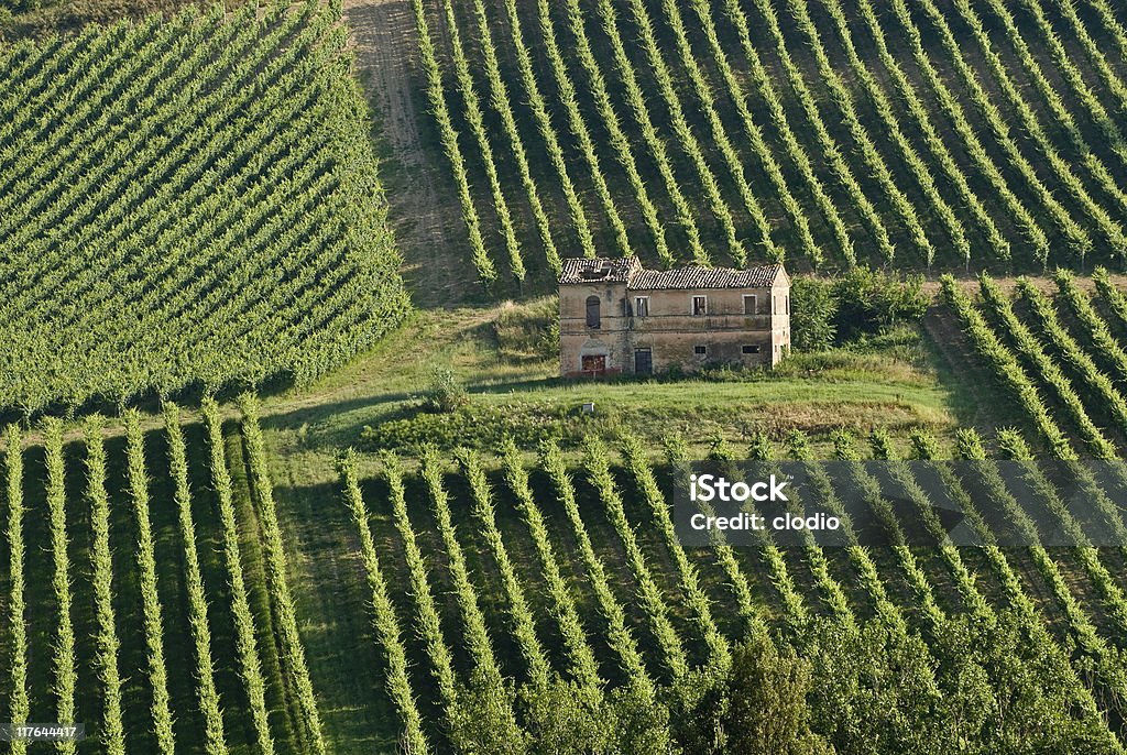 Marches (Italy) - Rural landscape at summer with farmhouse Marche (Italy) - Farm, with farmhouse and vineyard, near Ancona at summer Marche - Italy Stock Photo