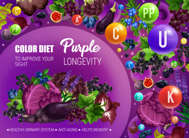 Purple color food diet, health longevity Color diet healthy nutrition, purple food vitamins and minerals. Vector natural organic fruits, berries and vegetables of purple color diet for sight improvement, anti-aging and urinary health grape pruning stock illustrations