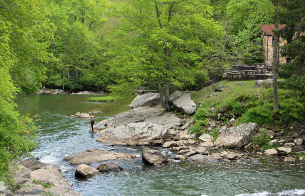 fishing scene on glade creek - babcock state park imagens e fotografias de stock