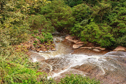 A mountain stream seen flowing over som granite rocks on its way downhill. It disappears into the dense tropical jungle on the Palani Hills in Tamil Nadu, India. Image shot on the Ghat Road to Kodaikanal, in the morning sunlight; horizontal format. No people.